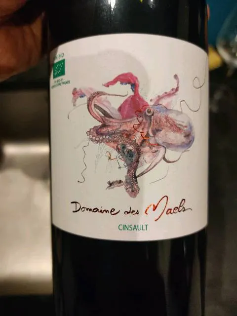 Domaine des Maels - Photo 1