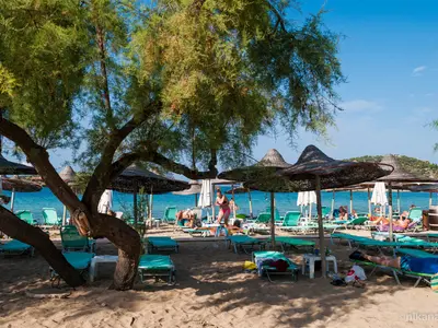 Talgo Beach Bar - Photo 1