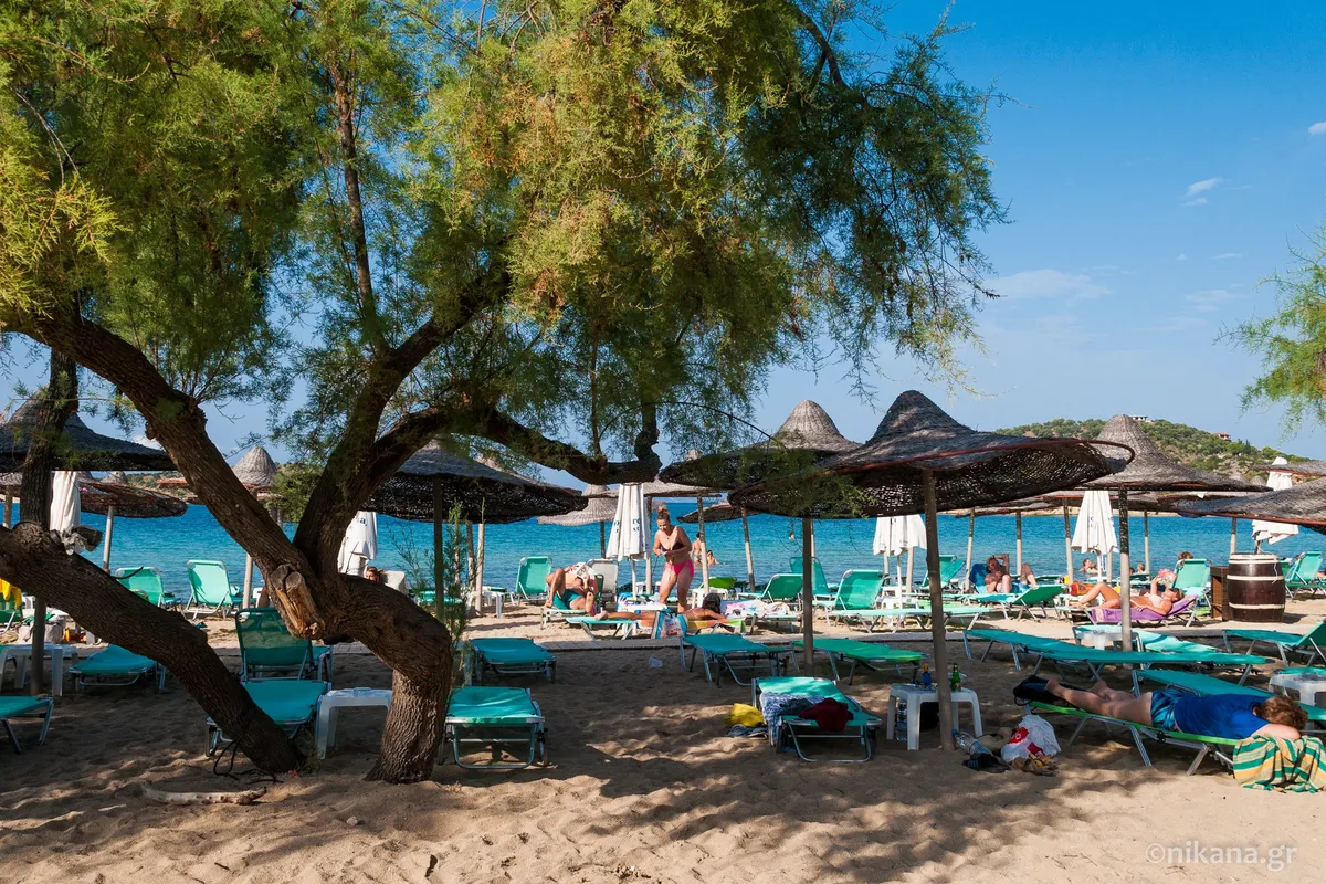 Talgo Beach Bar - Photo 1
