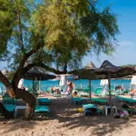 Talgo Beach Bar