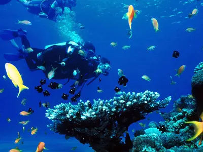 Snorkling Place - Photo 2