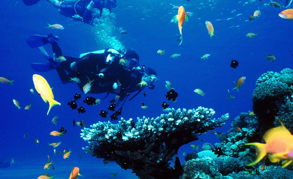 Snorkling Place - Photo 2