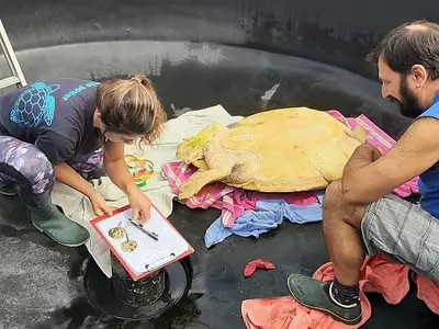 Sea-Turtle Rescue Centre - Photo 3