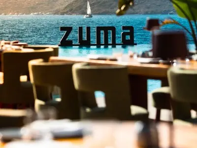 Zuma - Photo 3