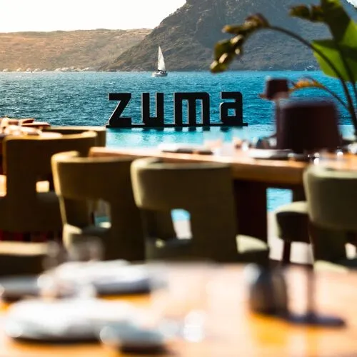 Zuma - Photo 3
