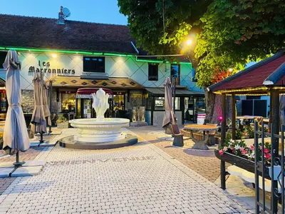 Des Marronniers - Photo 2