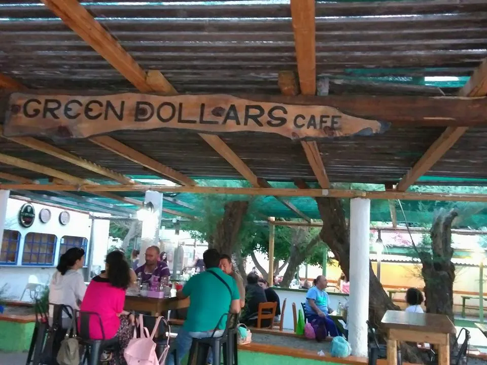 Green dollar - Photo 3
