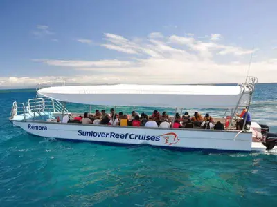 Sun Lover Glass Bottom Boat Tour - Photo 3