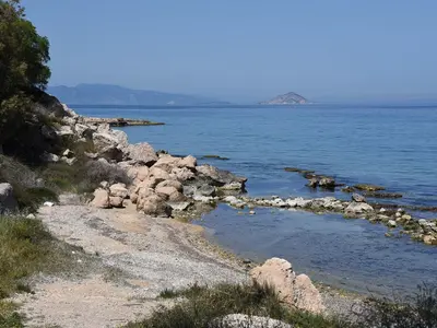 Crab Rock - Photo 3
