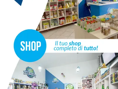 Il mondo senza glutine - Photo 2