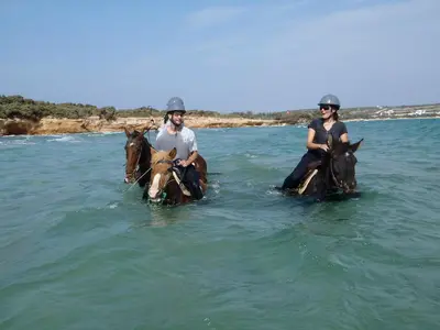 Kokou riding center - Photo 3