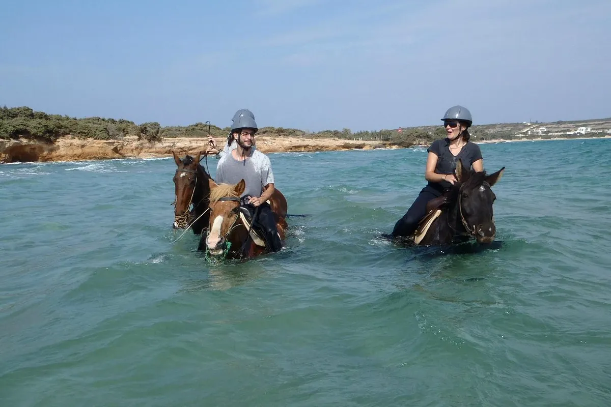 Kokou riding center - Photo 3