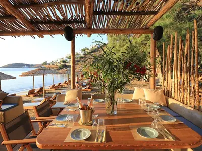 Beach Bar - Photo 2
