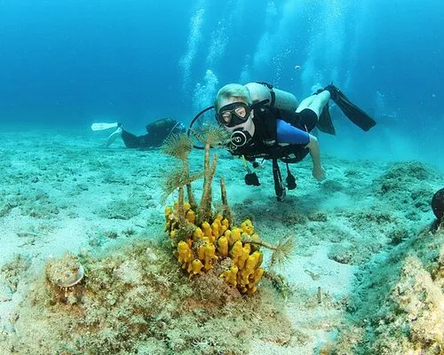 Snorkling Place - Photo 1