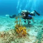 Snorkling Place