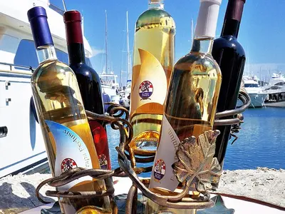 Vinoteka Frapa - Photo 2