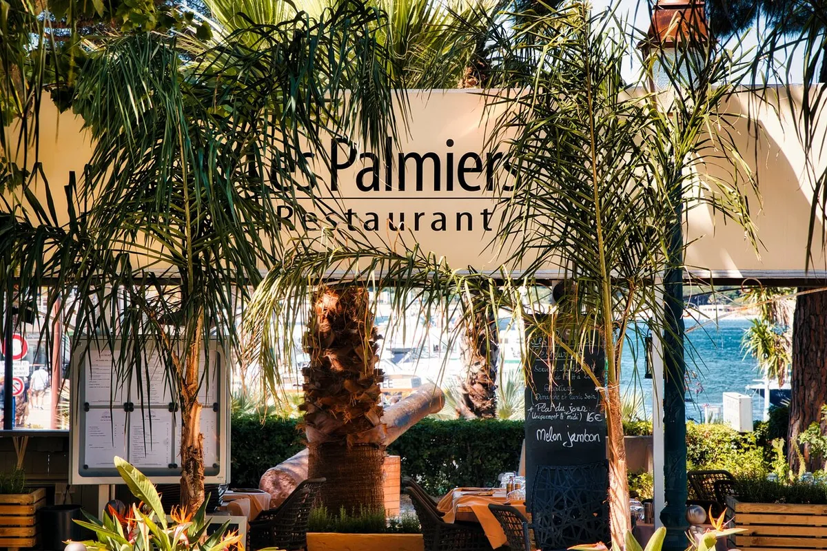 Les Palmiers - Photo 1