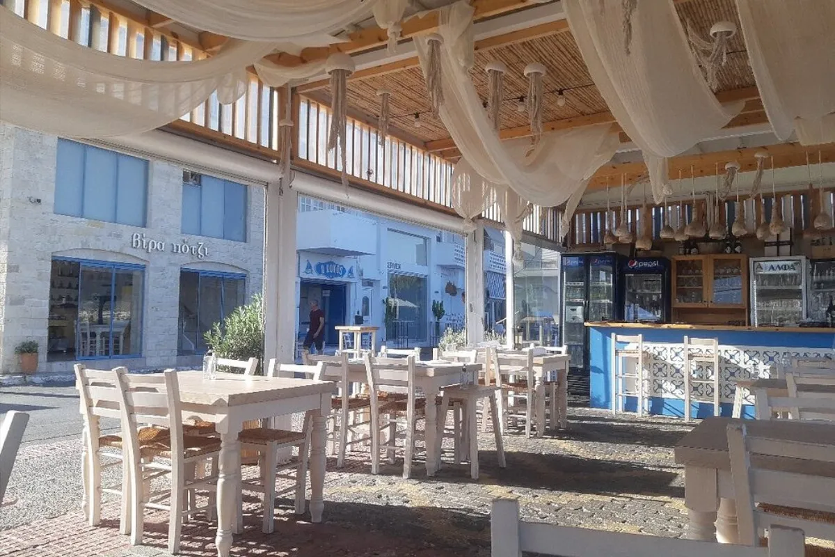 Vira Potzi - Photo 3