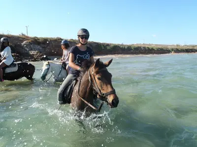 Kokou riding center - Photo 2