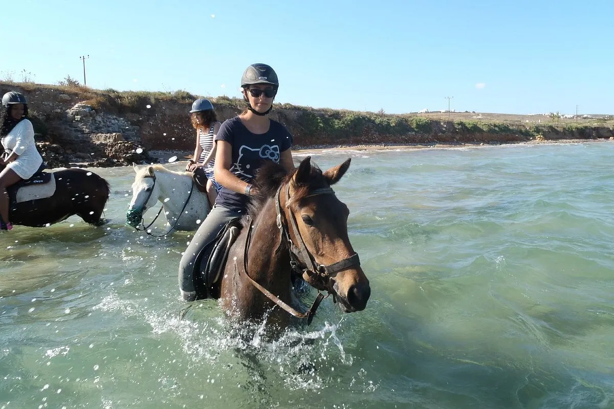 Kokou riding center - Photo 2