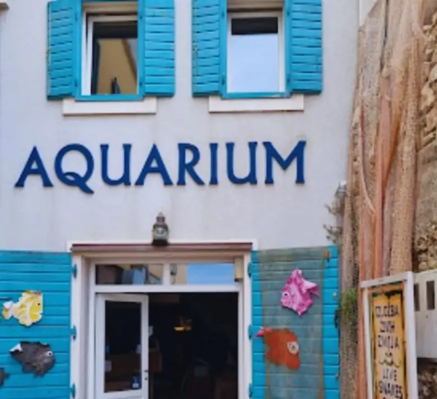 Aquarium i Muzej pomorske tradicije Vodice - Photo 1