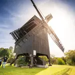 Bockwindmühle Werder