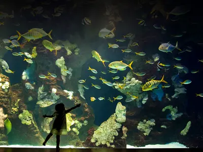 Donostiako Aquariuma - Photo 3