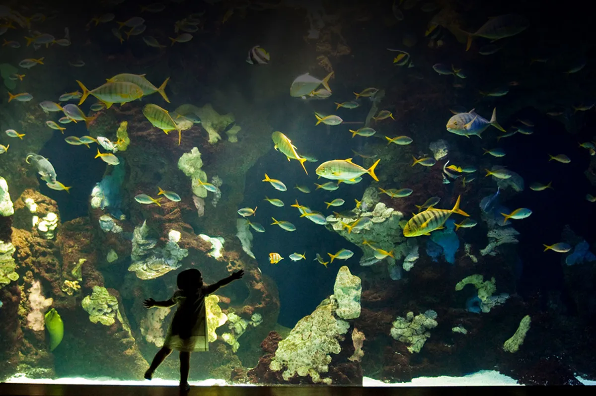 Donostiako Aquariuma - Photo 3