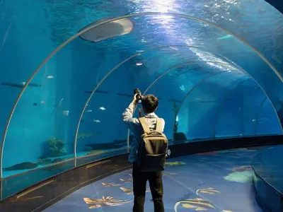 Donostiako Aquariuma - Photo 2