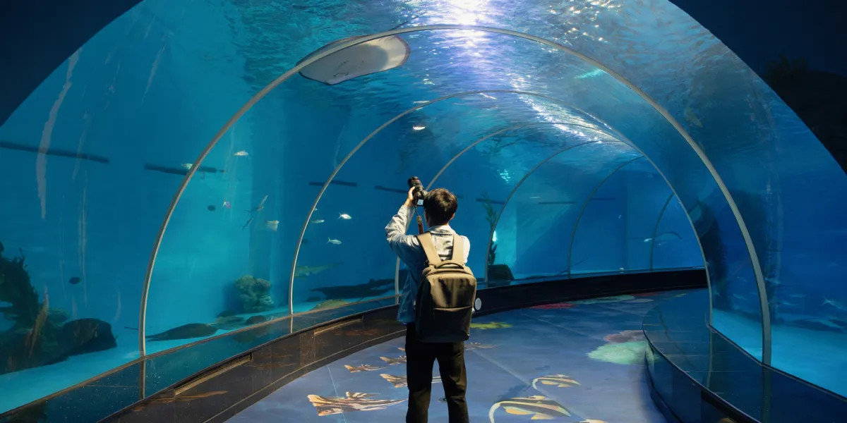 Donostiako Aquariuma - Photo 2