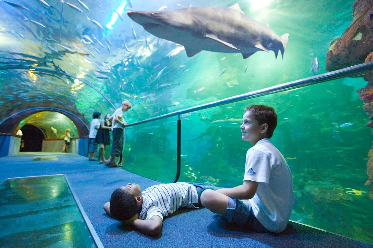 Donostiako Aquariuma - Photo 1