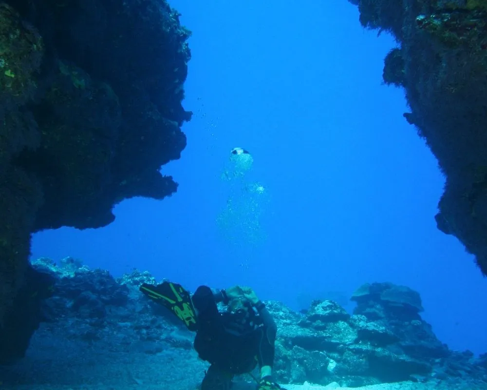 Hemisphere sub - Photo 4