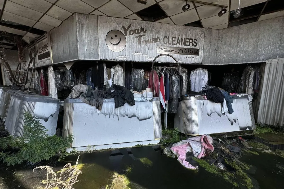 Nafsika - Photo 4