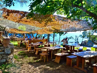 Taverna - Photo 2