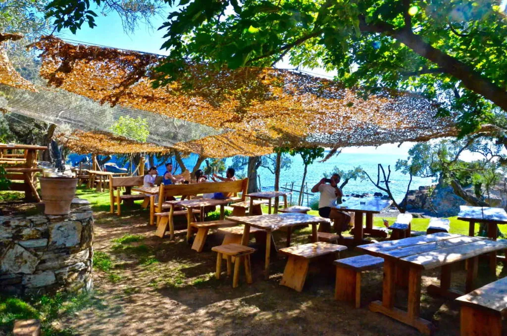 Taverna - Photo 2