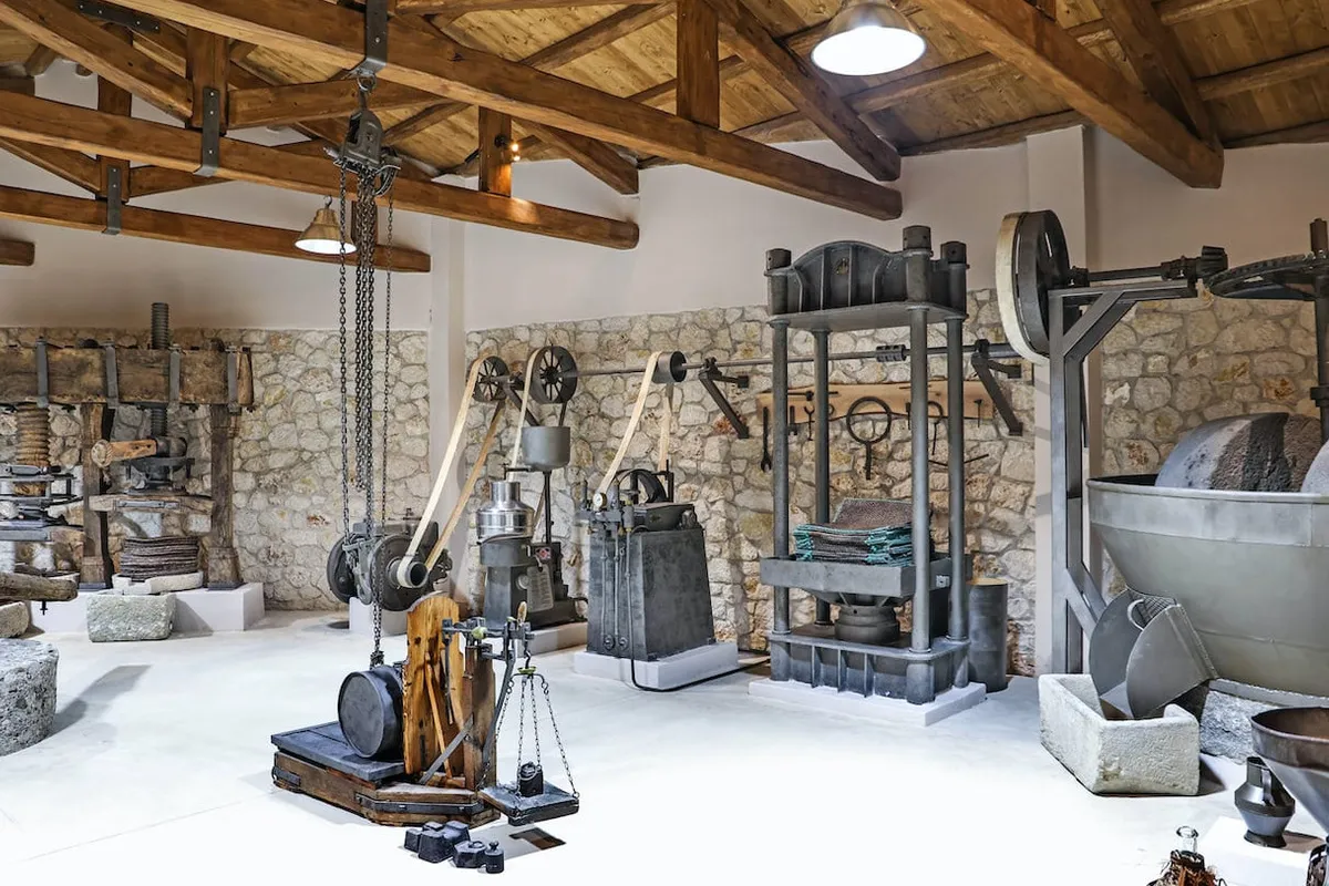 Enotis - Olive Groves & Museum - Main photo