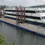 Marina do Freixo