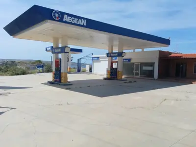 AEGEAN - Photo 3