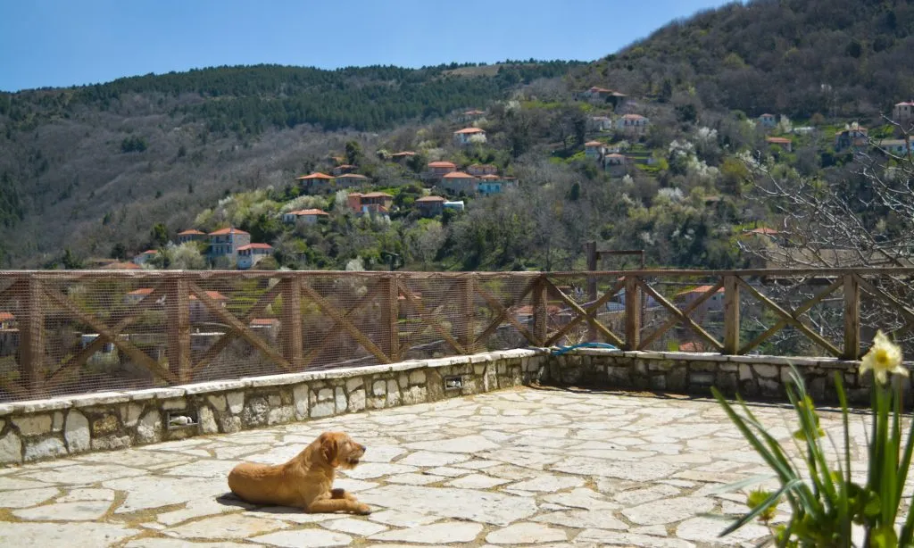 Super Best - Photo 4