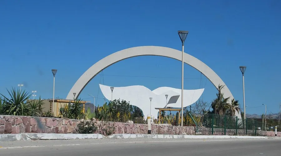 Phocea La Paz - Photo 2