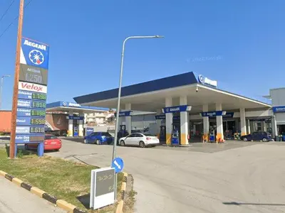 AEGEAN - Photo 2