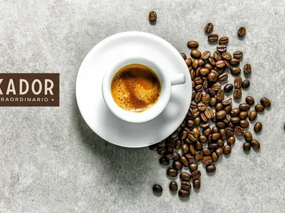 MOKADOR Cafe - Photo 3