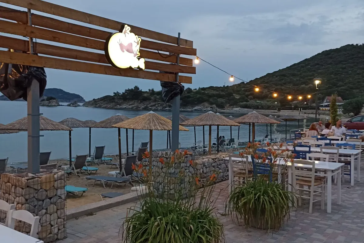 Frog Beach Lounge & Grill - Photo 2