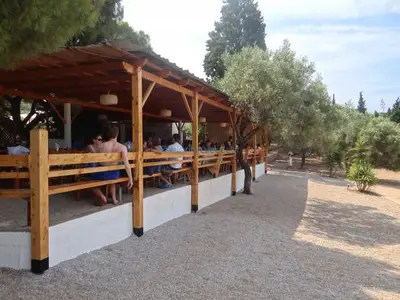 Zogeria - Photo 3