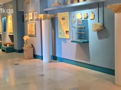 Phonograph Museum - Photo 3