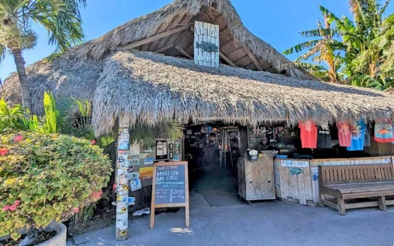 Hogfish Bar & Grill - Photo 5