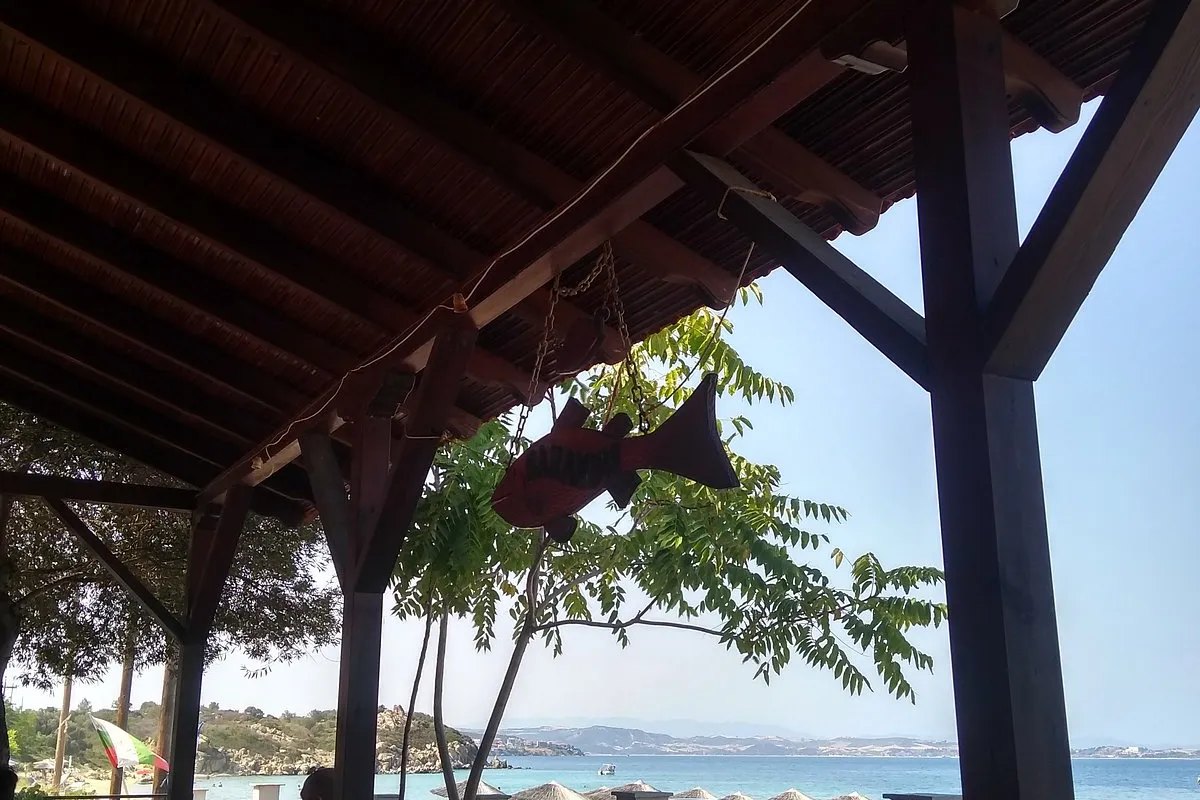 Serandis - Photo 1