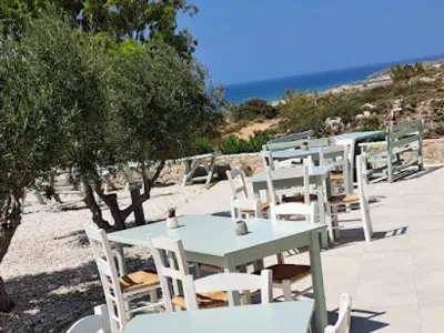 Papagalos - Photo 3