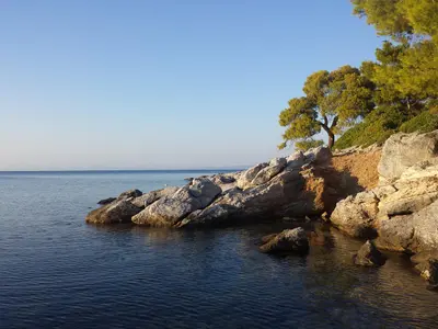 Golden beach - Photo 5