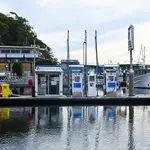 D'Albora Marina